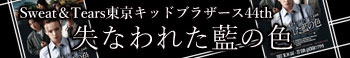 『失なわれた藍の色』