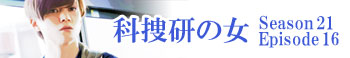 科捜研の女